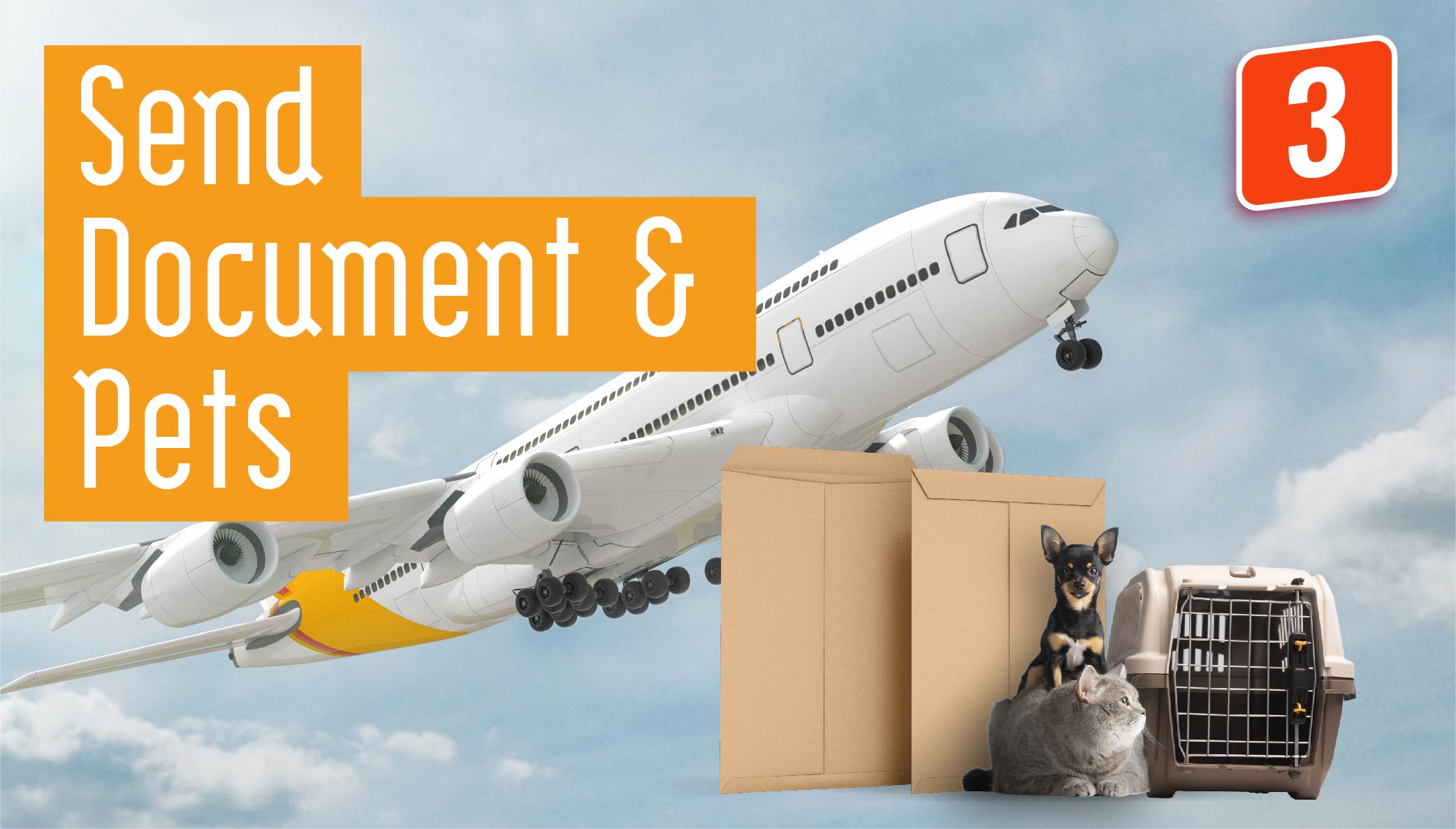 Document or Pets