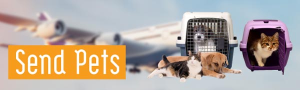 Air Pets (PS)